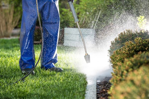 Cost of Curb Cleaning in Winston Salem