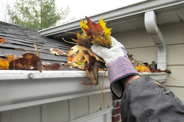 Cost of Eaves Cleaning in Winston Salem